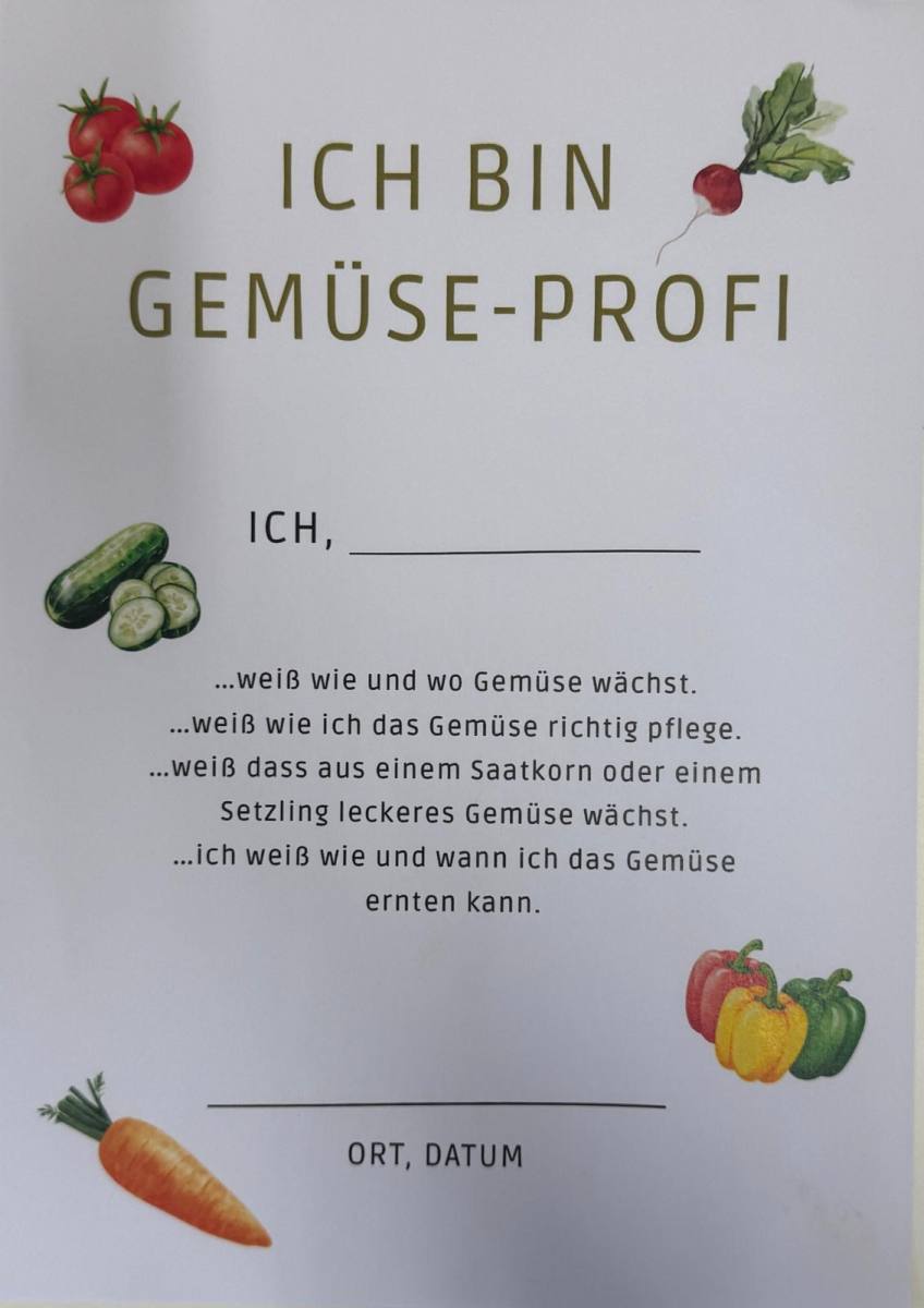 Gemüse Hochbeet Kindergarten St. Franziskus