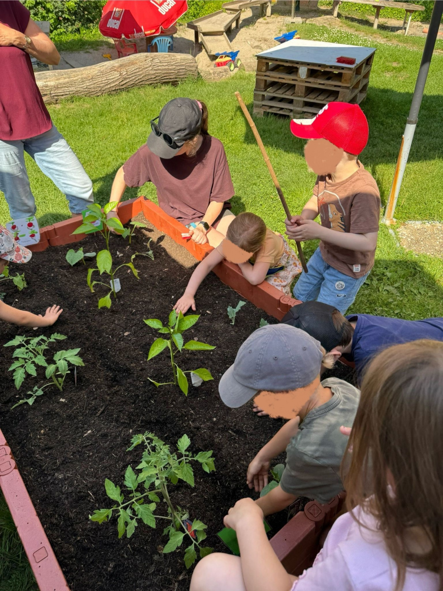 Gemüse Hochbeet Kindergarten St. Franziskus